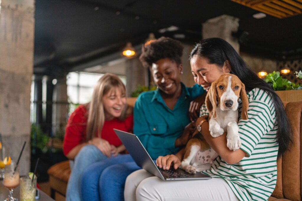 Modern multiracial businesswomen, working on a laptop in the pet friendly pub